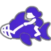 サメライド